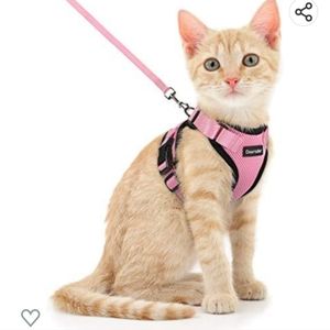 Cat or Small Dog harness and leash,  pink, size XS